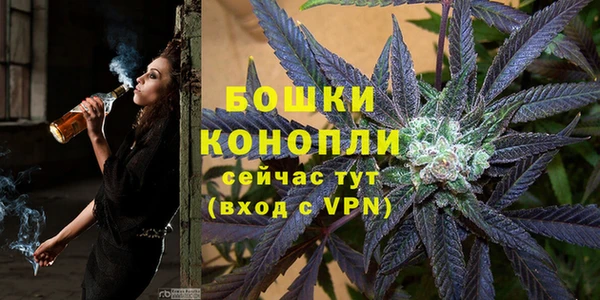индика Балахна