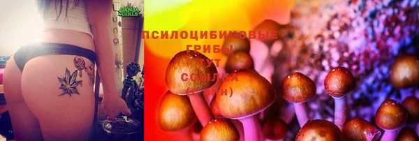 меф Сосновка