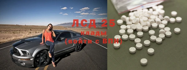 индика Балахна
