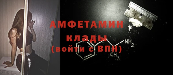 прущие грибы Сосновоборск