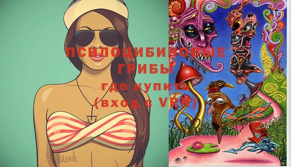 ГАЛЛЮЦИНОГЕННЫЕ ГРИБЫ Баксан