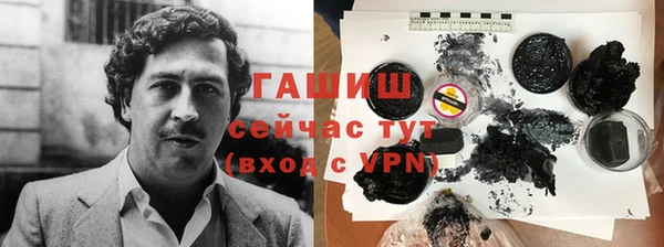 индика Балахна
